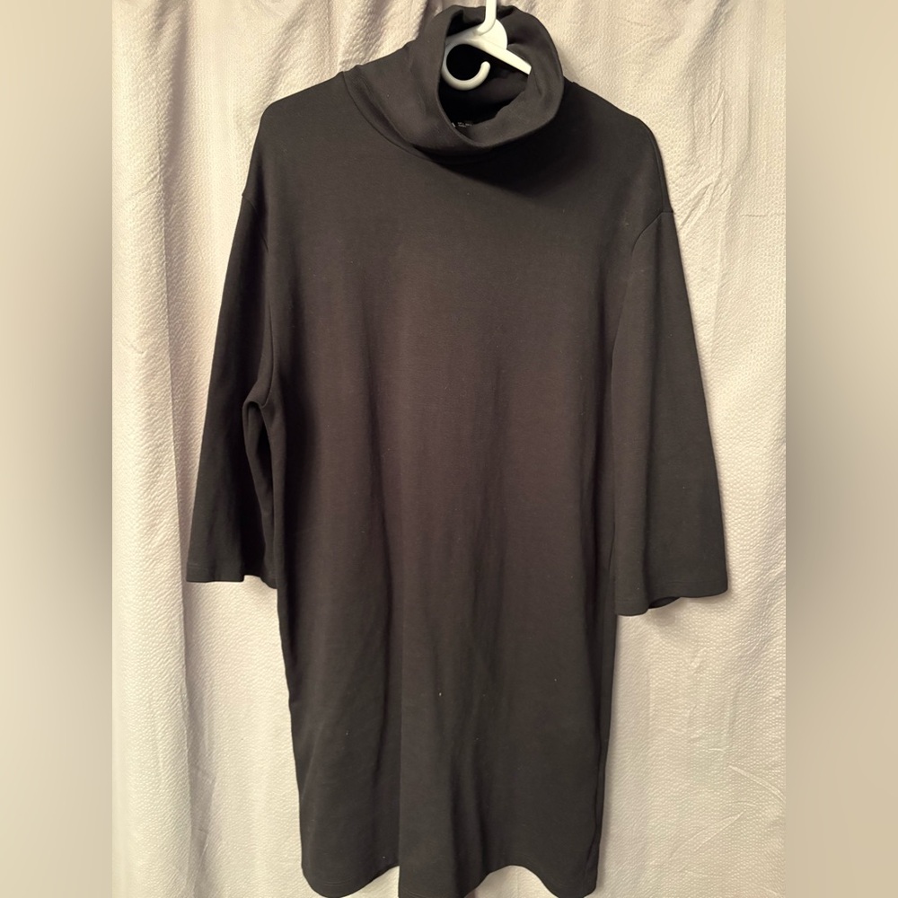 Zara Black Turtleneck Dress